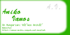 aniko vamos business card